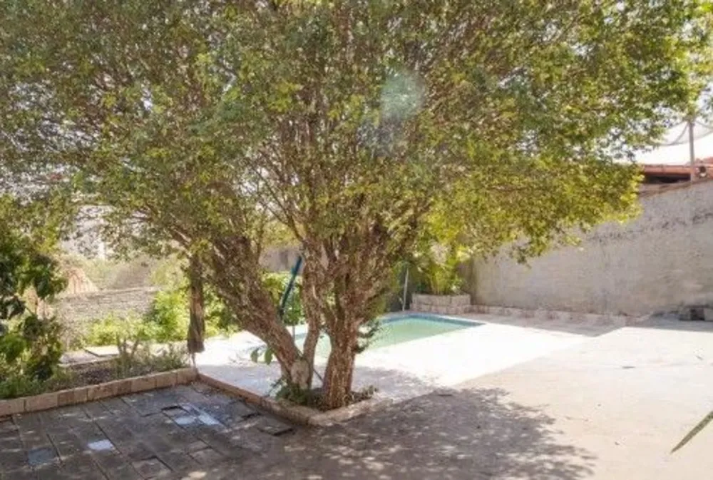 Casa, 4 quartos, 362 m² - Foto 5
