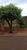Terreno, 198 m² - Foto 1