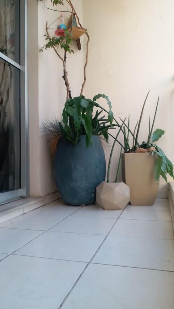 Apartamento, 3 quartos, 64 m² - Foto 7