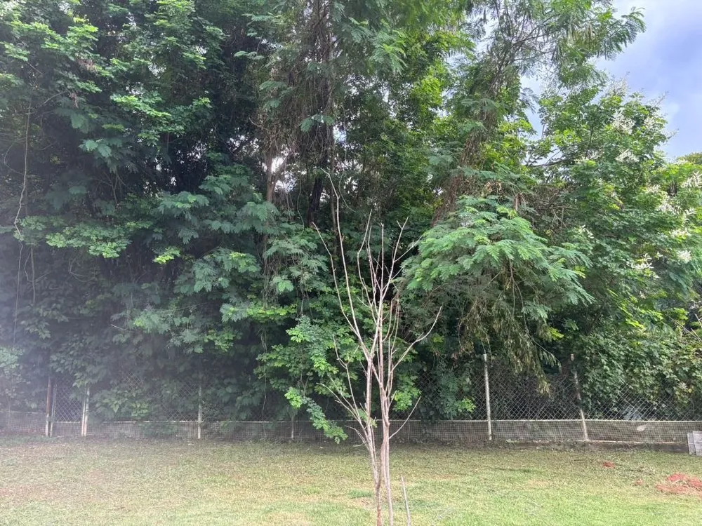 Casa, 4 quartos, 443 m² - Foto 9