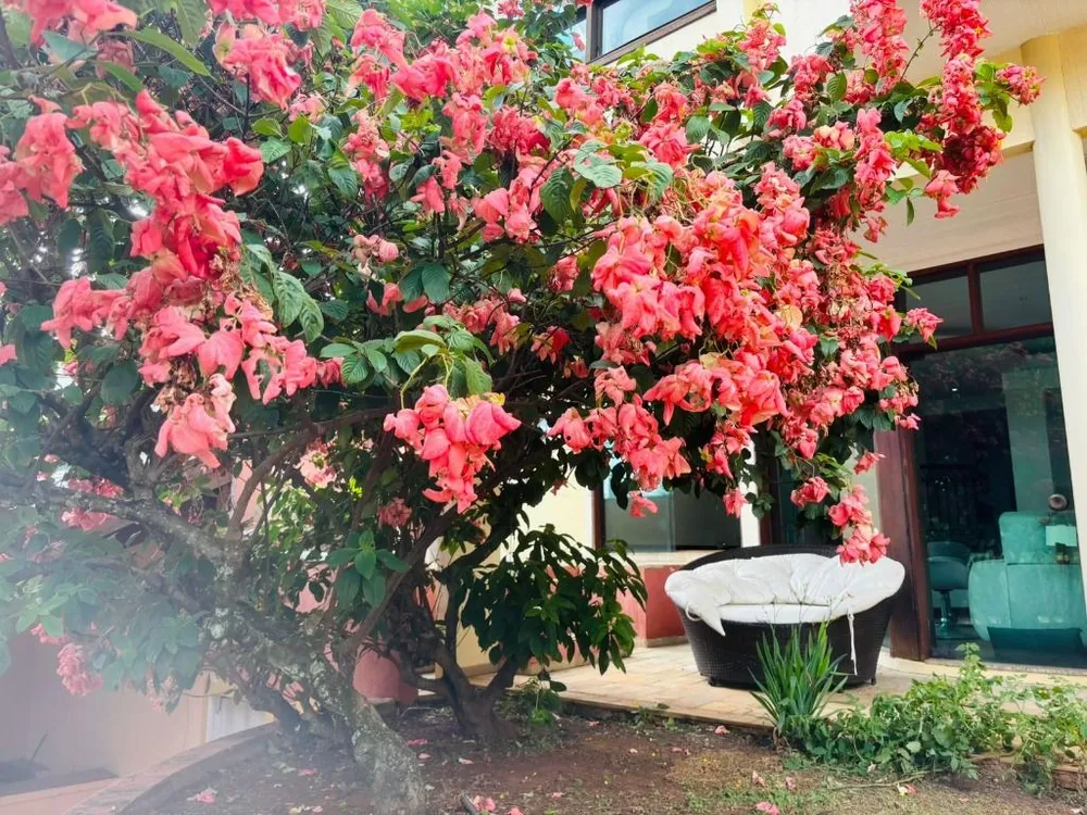 Casa, 4 quartos, 443 m² - Foto 8