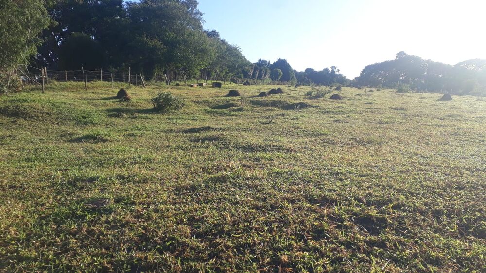 Terreno, 2500 m² - Foto 1