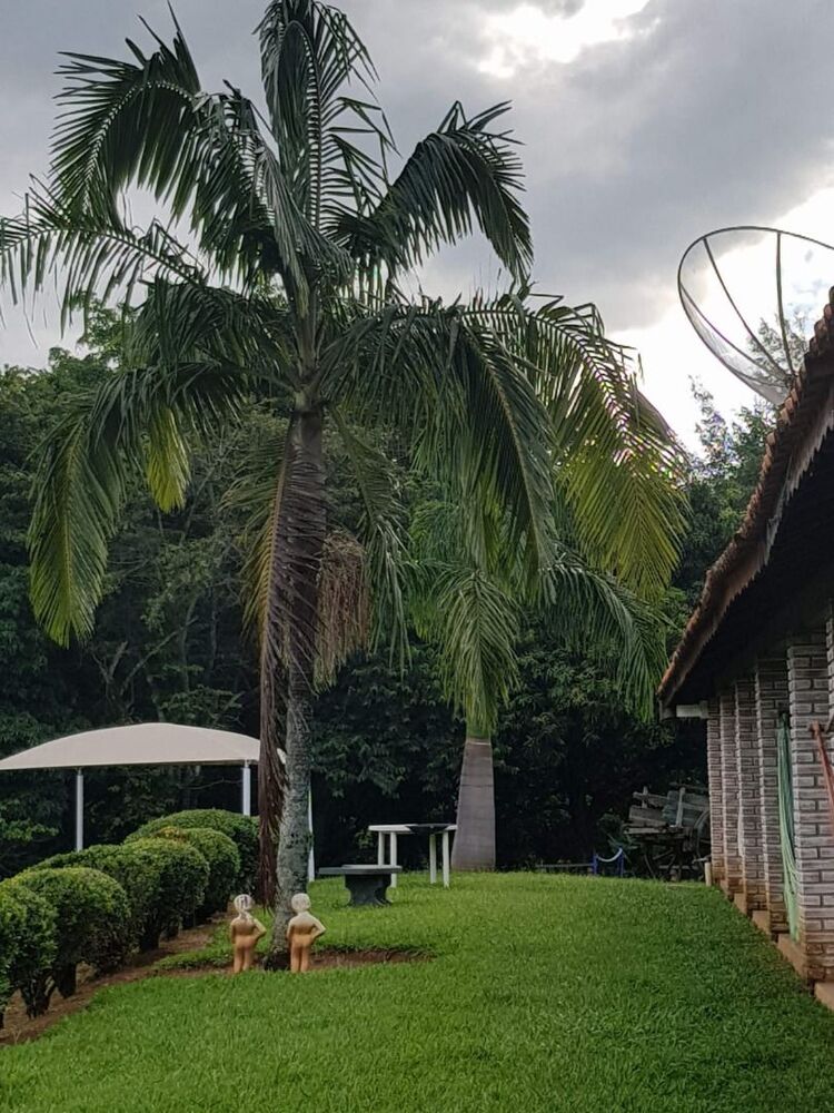 Chácara, 4 hectares - Foto 4