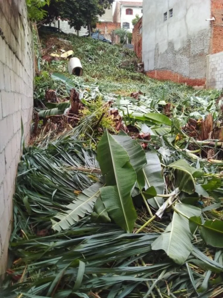 Terreno, 268 m² - Foto 6