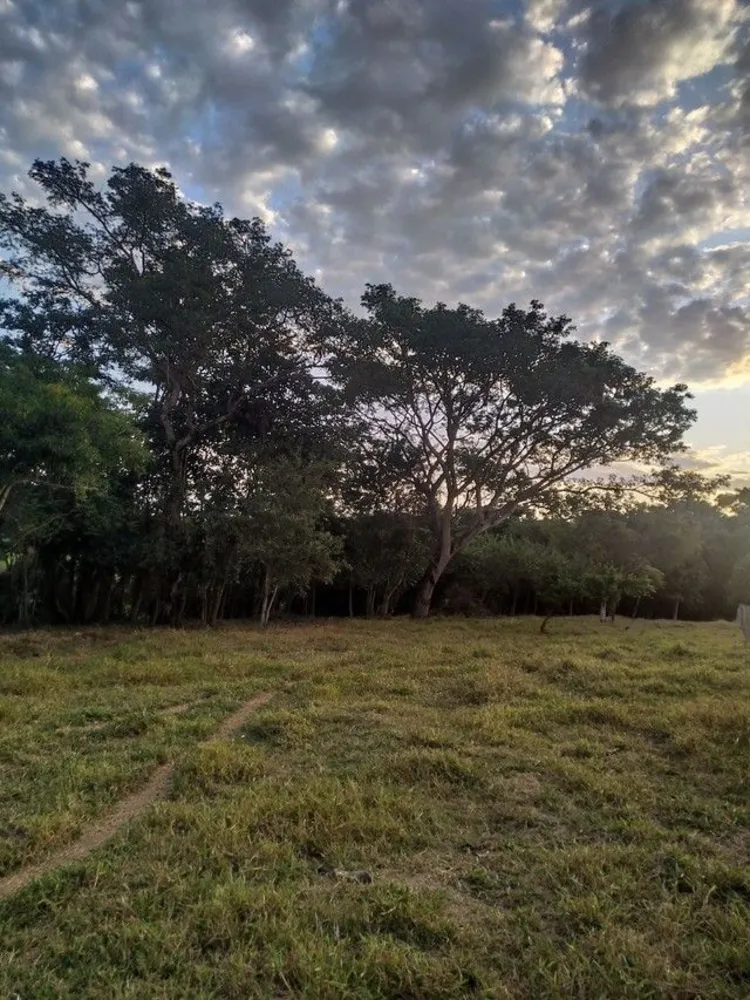 Terreno, 2 hectares - Foto 6