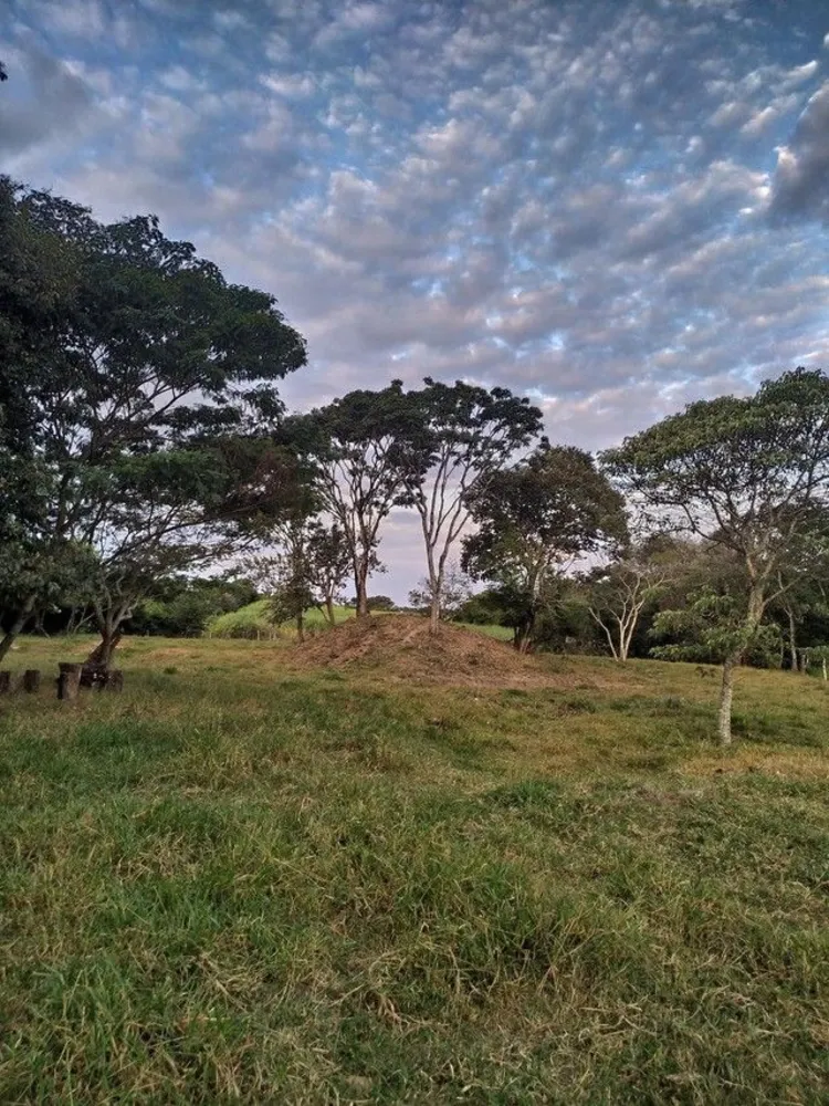 Terreno, 2 hectares - Foto 3
