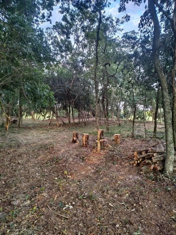 Terreno, 2 hectares - Foto 5