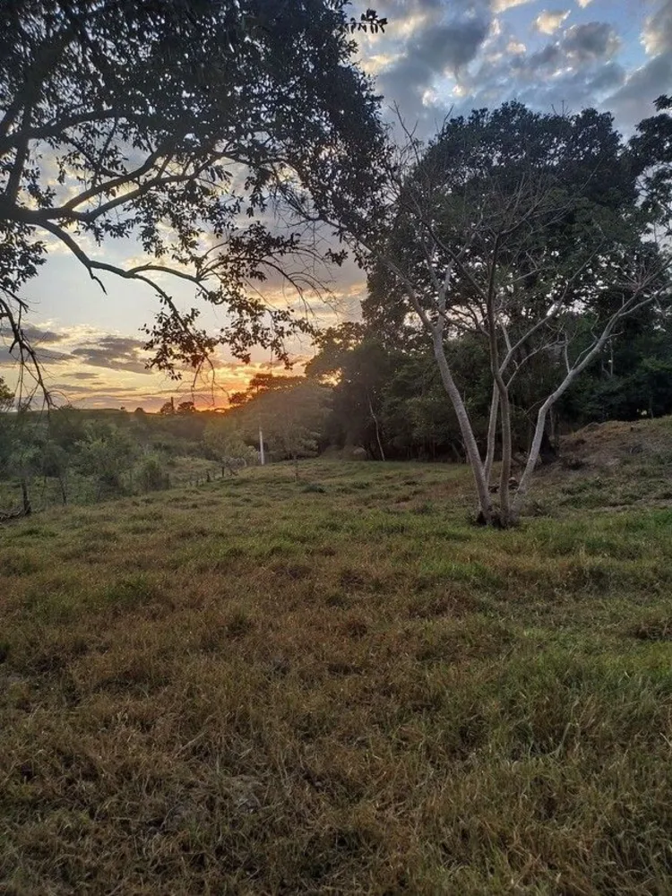 Terreno, 2 hectares - Foto 4