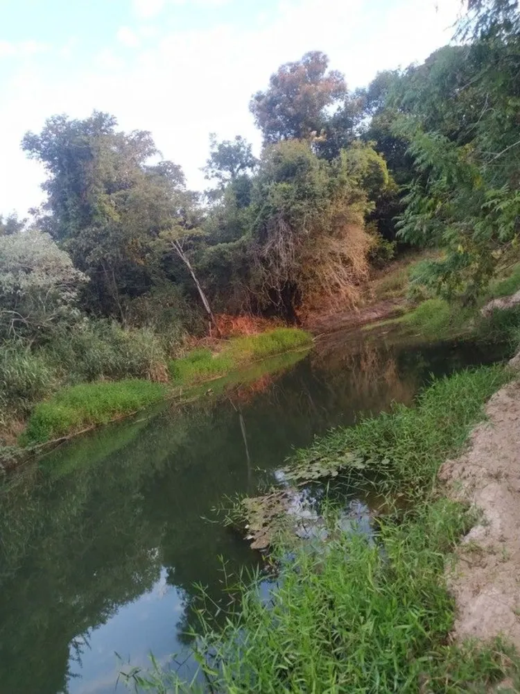 Terreno, 2 hectares - Foto 1