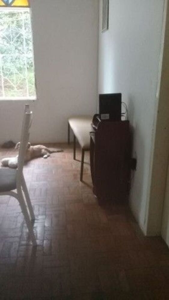 Casa, 3 quartos, 250 m² - Foto 3