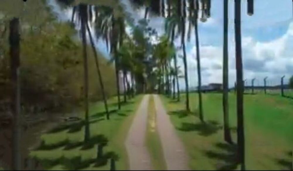 Loteamento e Condomínio, 2 hectares - Foto 4