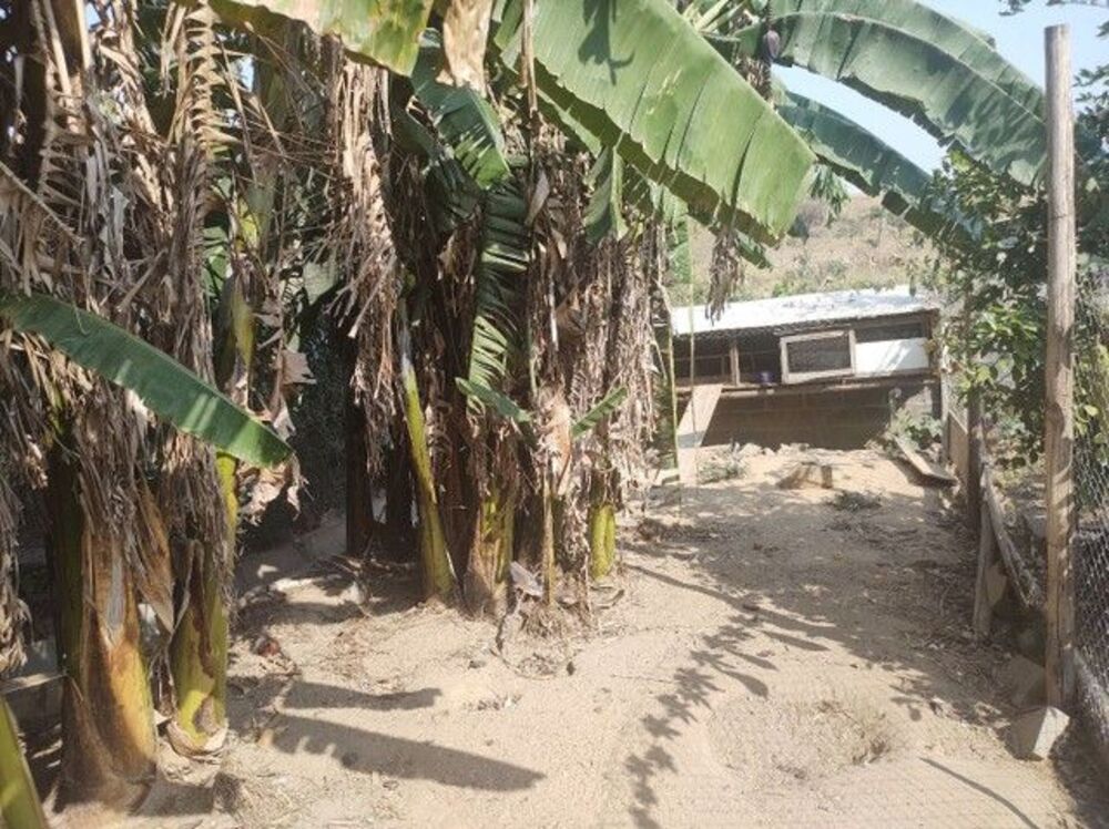 Terreno, 470 m² - Foto 3