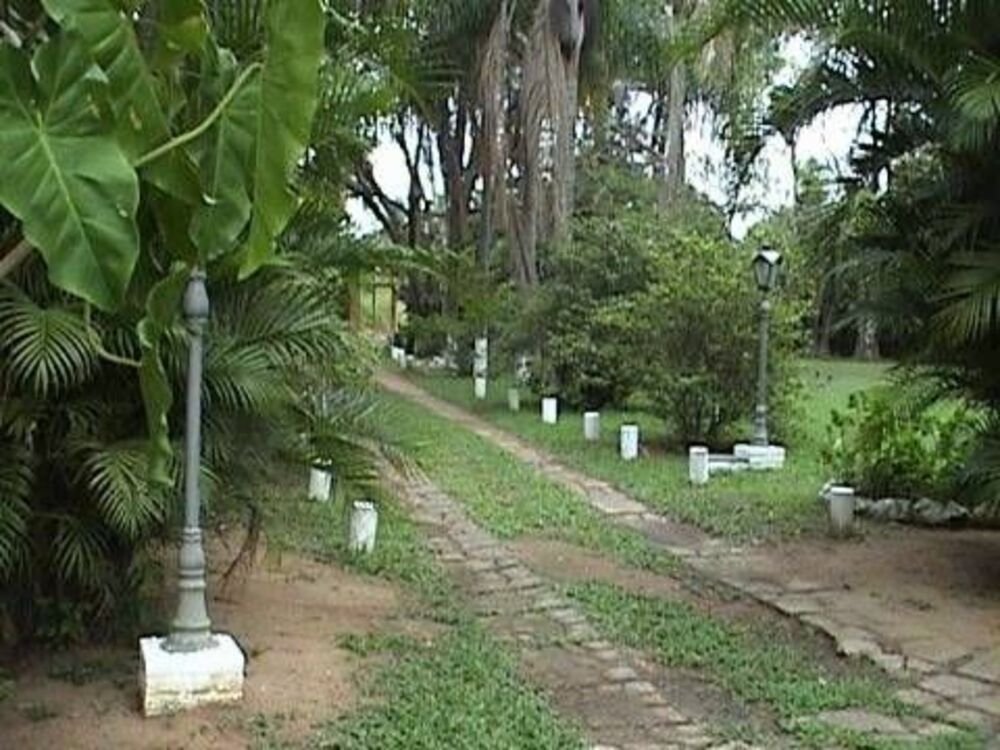 Terreno, 10000 m² - Foto 5