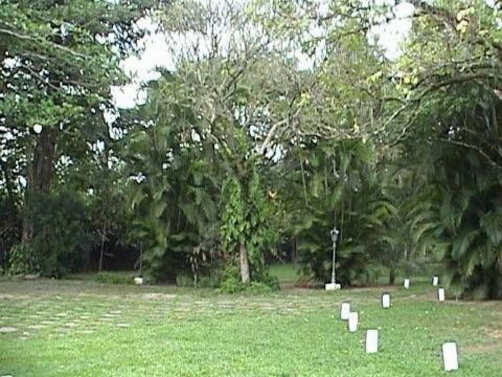 Terreno, 10000 m² - Foto 3