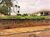 Terreno, 1067 m² - Foto 3