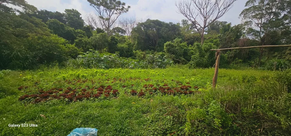 Terreno à venda, 120M2 - Foto 2