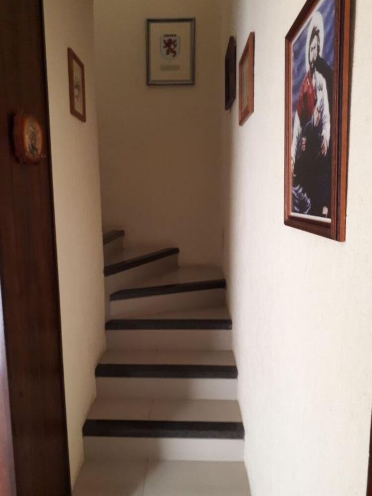 Casa, 3 quartos, 240 m² - Foto 3