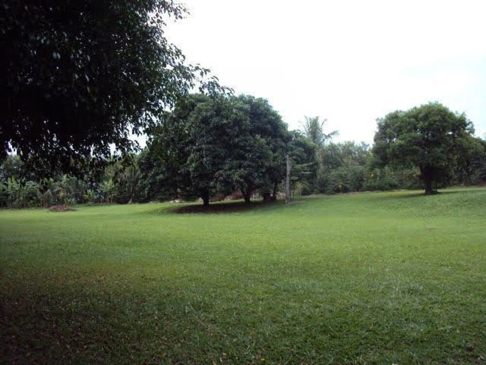 Sítio à venda com 3 quartos, 4800m² - Foto 5