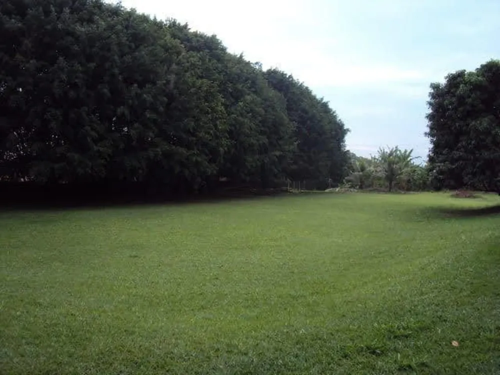 Sítio, 3 quartos, 5 hectares - Foto 2