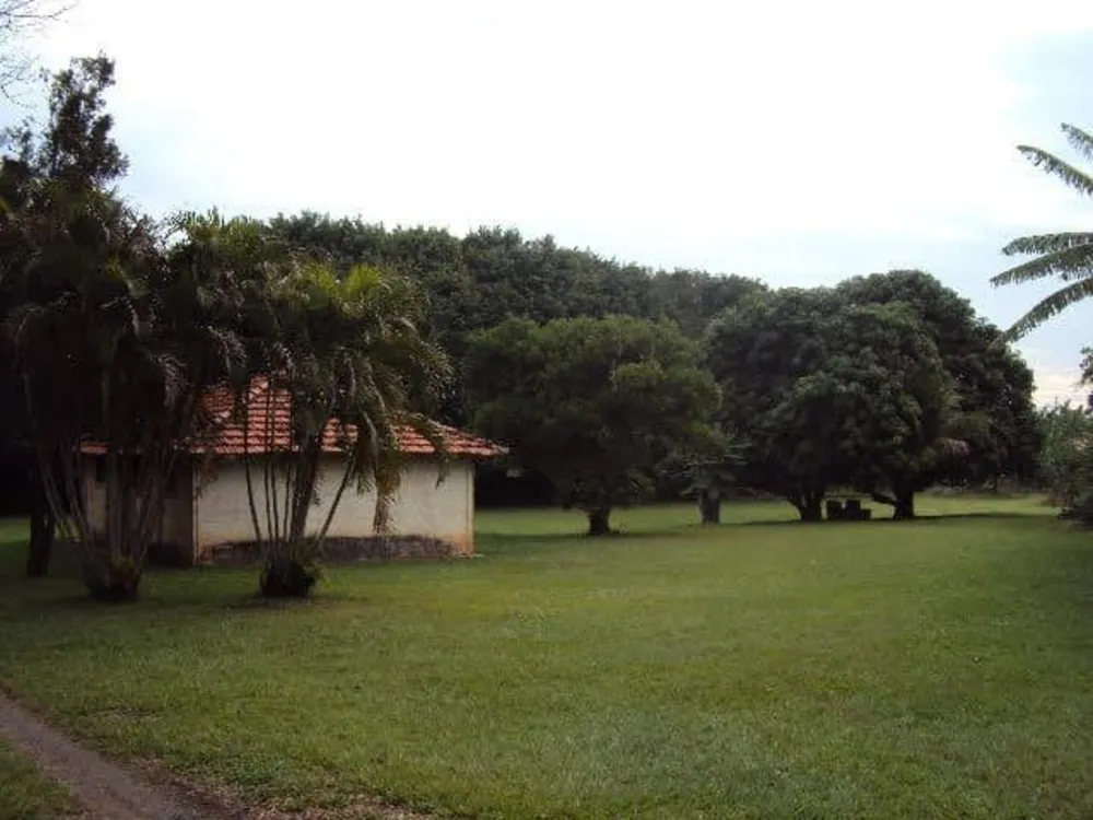 Sítio, 3 quartos, 5 hectares - Foto 1