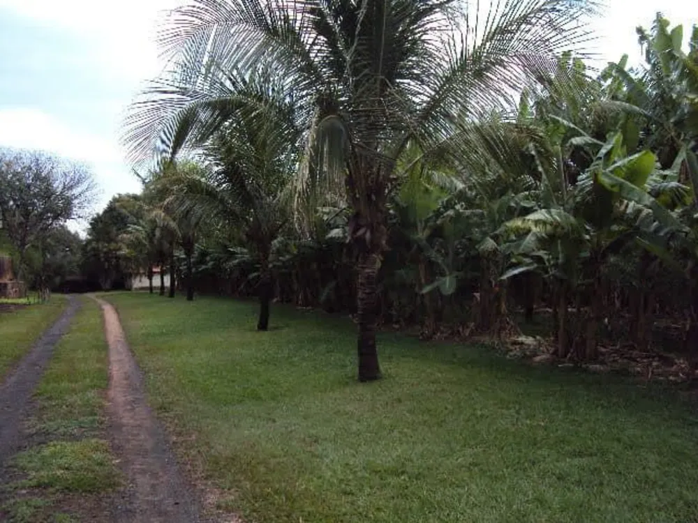 Sítio, 3 quartos, 5 hectares - Foto 4