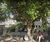 Sobrado, 4 quartos, 400 m² - Foto 3