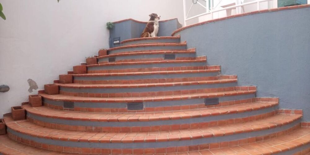 Casa de Condomínio à venda com 4 quartos, 420m² - Foto 16