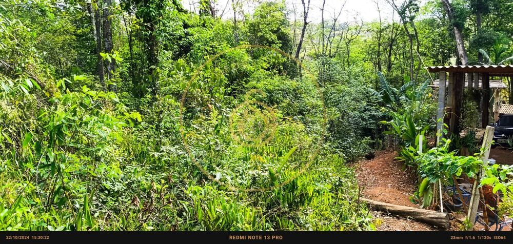 Terreno à venda, 1450m² - Foto 11
