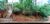 Terreno, 1450 m² - Foto 6