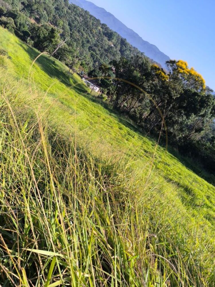 Terreno, 2400 m² - Foto 5