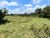 Terreno, 21980 m² - Foto 9