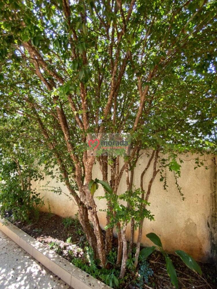 Sobrado, 3 quartos, 240 m² - Foto 42