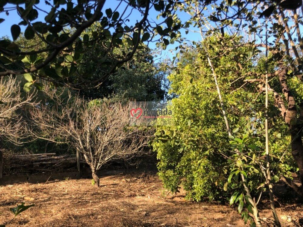 Casa, 5 quartos, 303 m² - Foto 63