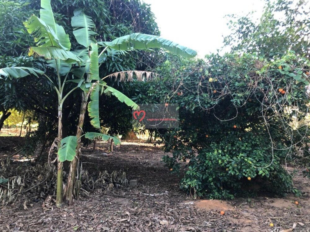 Casa, 5 quartos, 303 m² - Foto 52