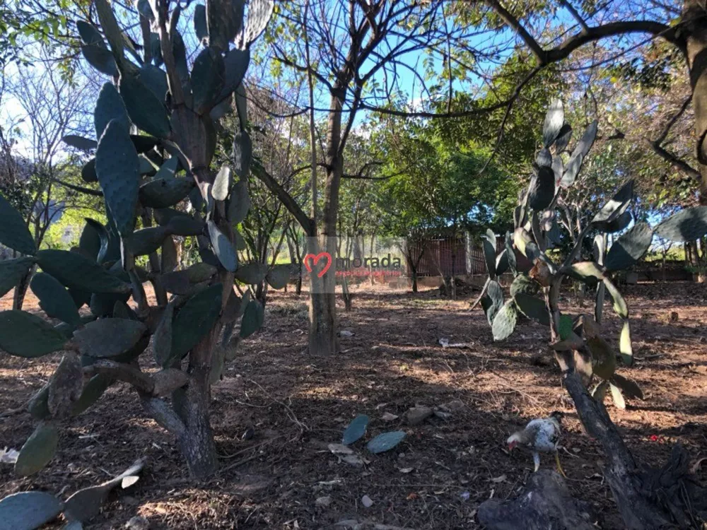 Casa, 5 quartos, 303 m² - Foto 1