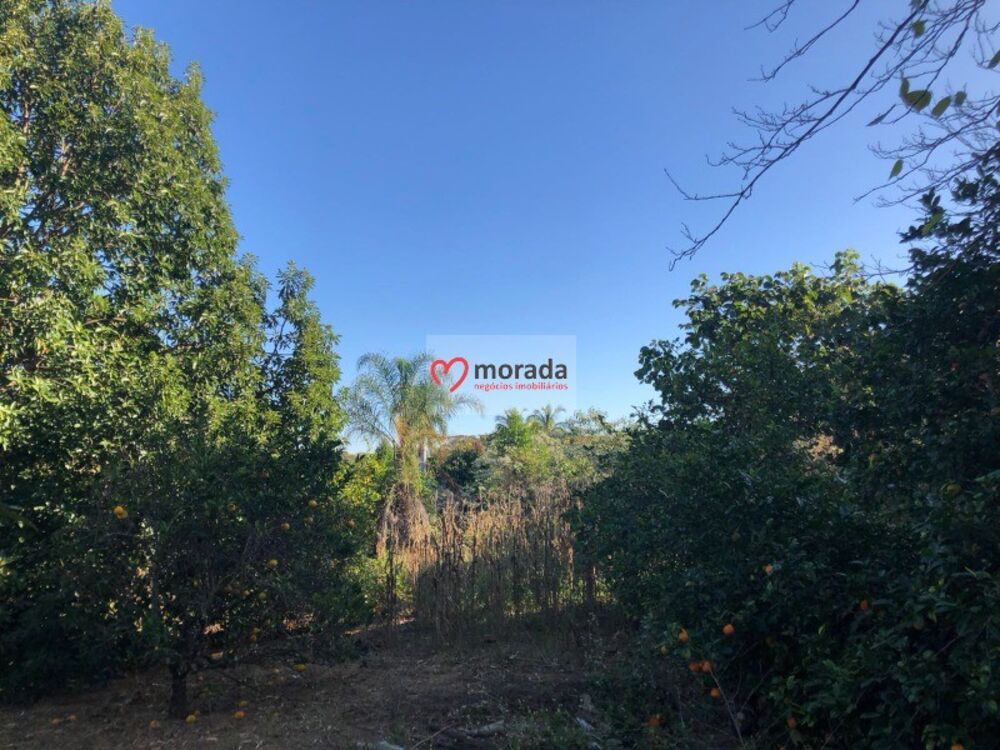 Casa, 5 quartos, 303 m² - Foto 48