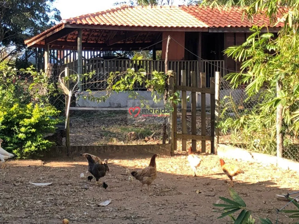 Casa, 5 quartos, 303 m² - Foto 6