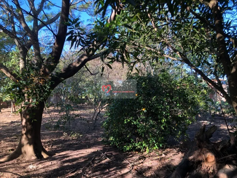 Casa, 5 quartos, 303 m² - Foto 5