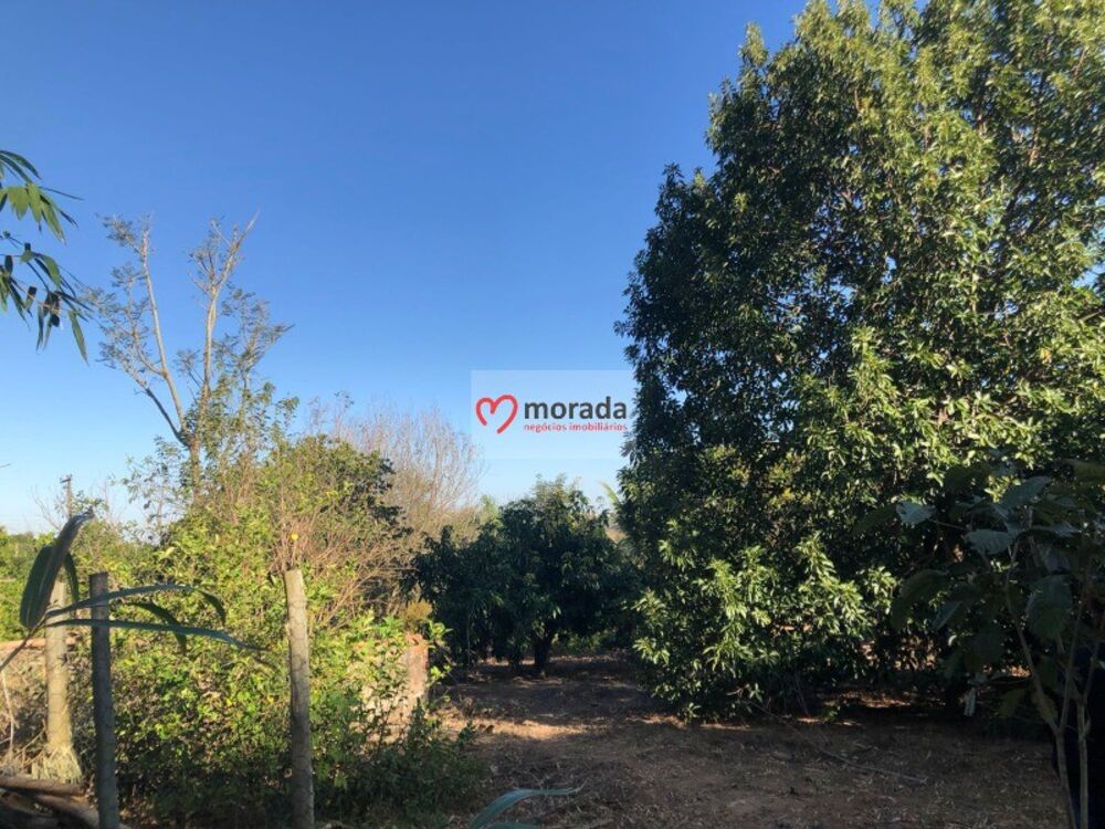 Casa, 5 quartos, 303 m² - Foto 49