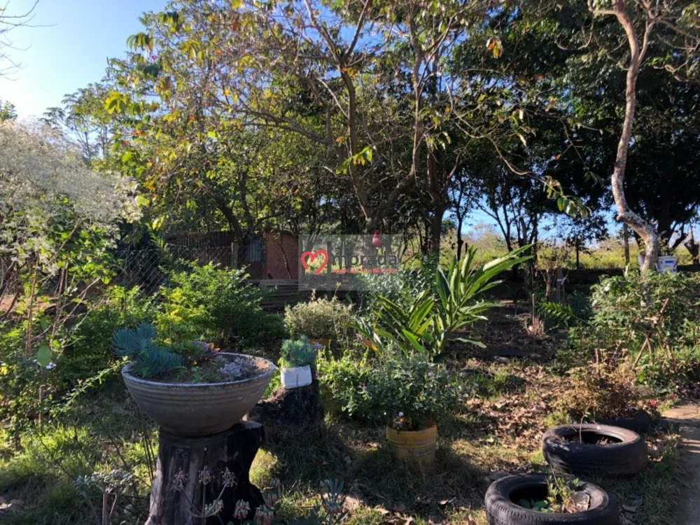 Casa, 5 quartos, 303 m² - Foto 4