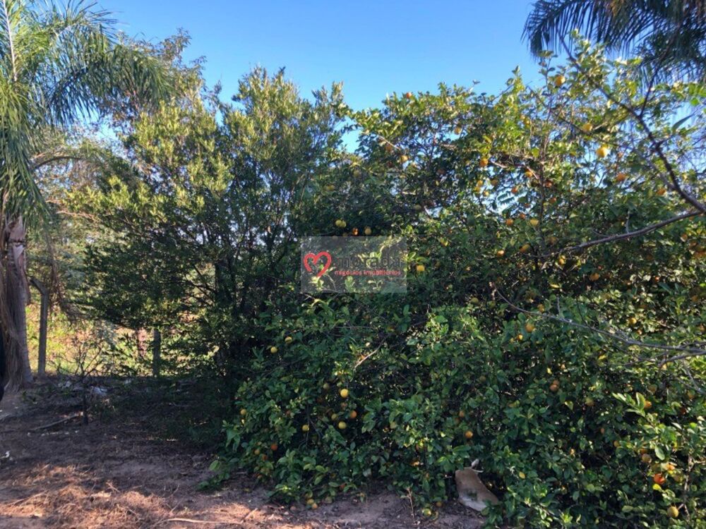 Casa, 5 quartos, 303 m² - Foto 57