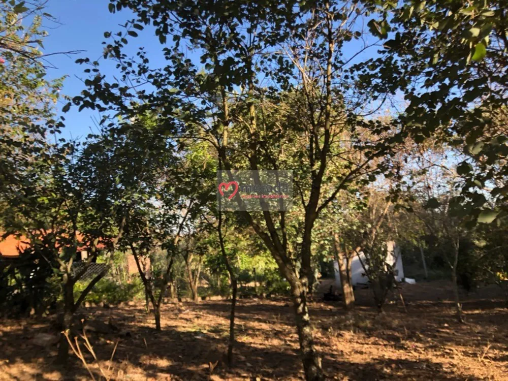 Casa, 5 quartos, 303 m² - Foto 7