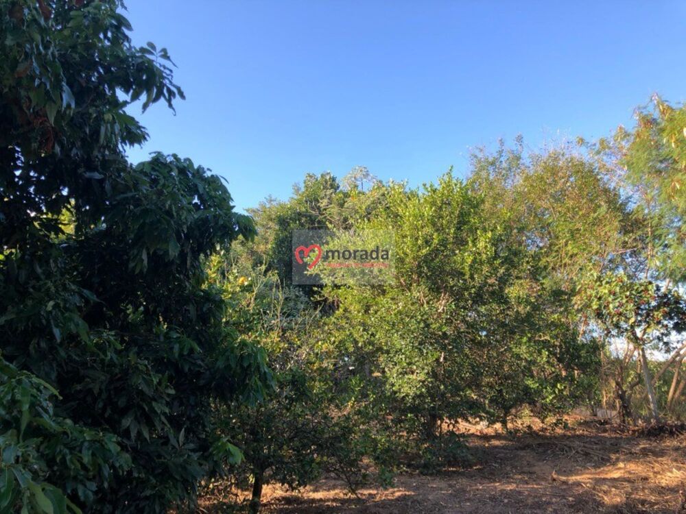 Casa, 5 quartos, 303 m² - Foto 64