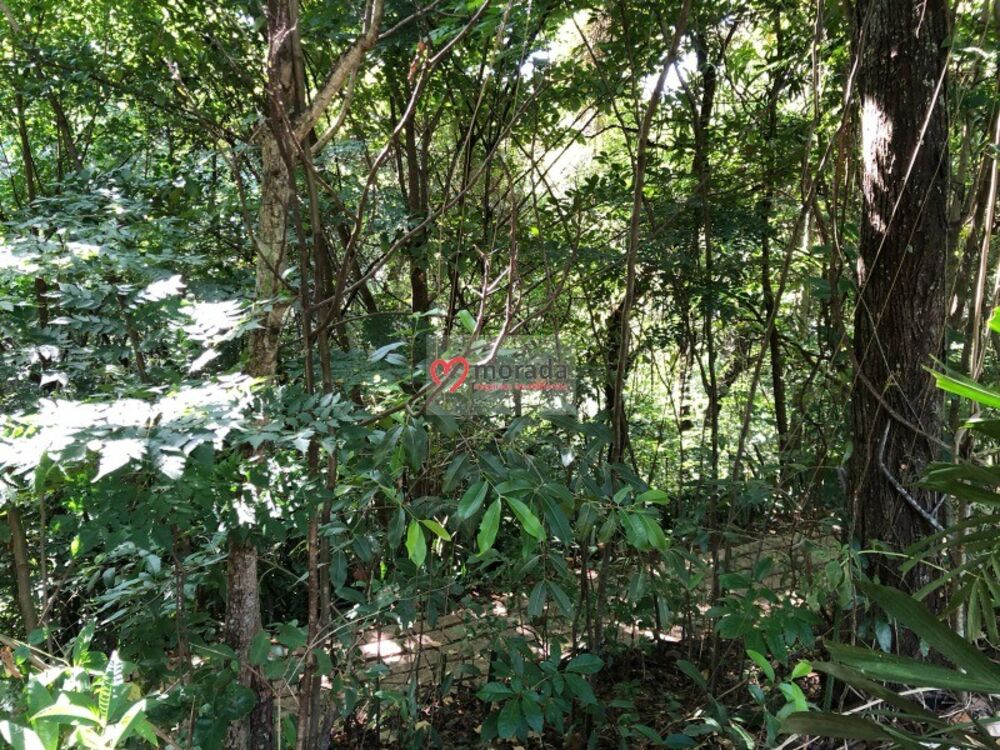 Terreno, 2010 m² - Foto 54