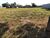 Terreno, 250 m² - Foto 4