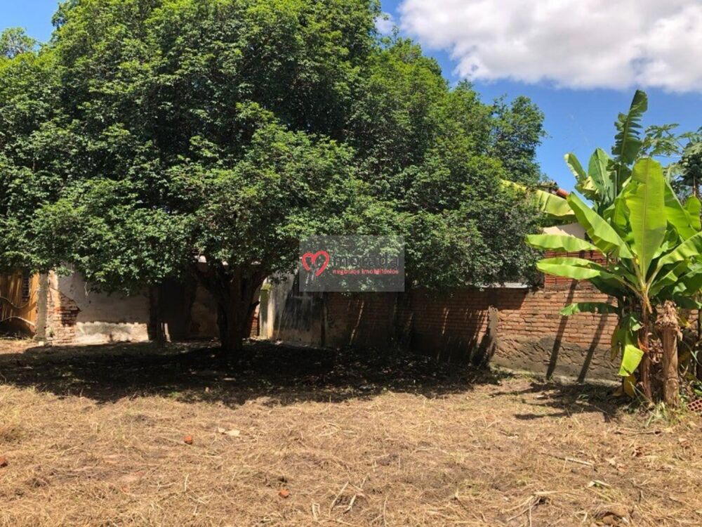 Casa, 3 quartos - Foto 22