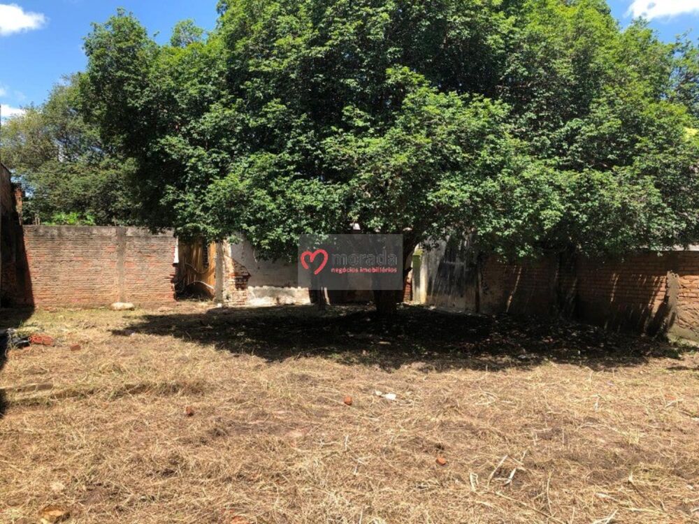 Casa, 3 quartos - Foto 23