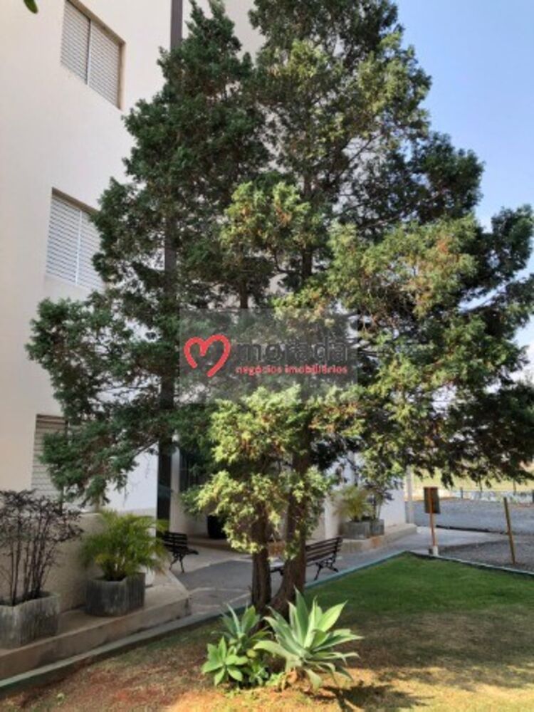 Apartamento, 3 quartos, 74 m² - Foto 12