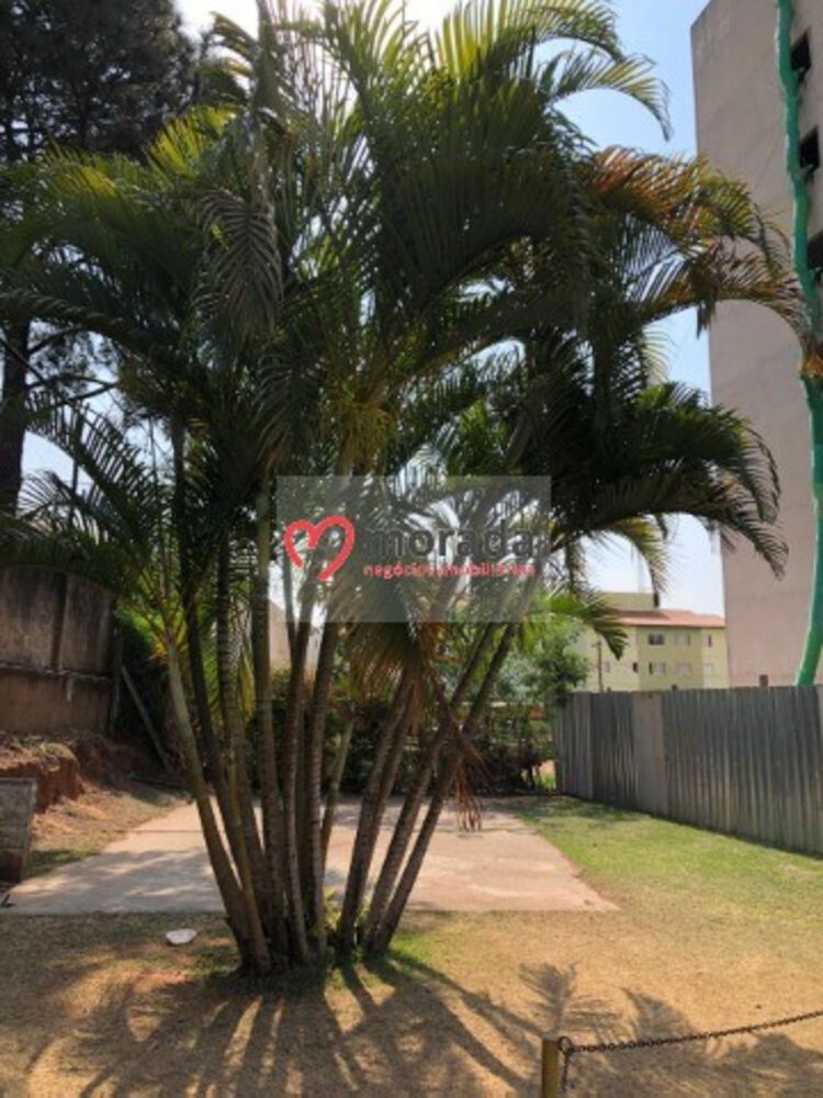 Apartamento, 3 quartos, 74 m² - Foto 9