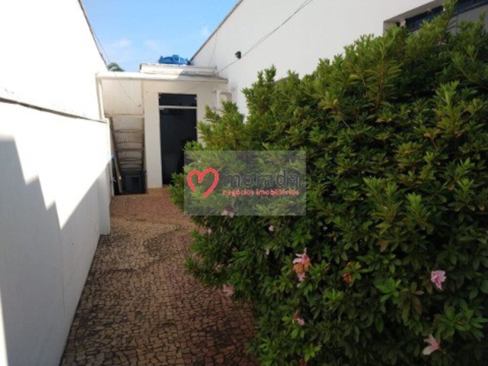 Prédio Inteiro - Foto 13